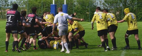 Rugby , Finales Comité