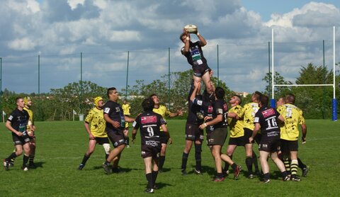 Rugby , Finales Comité