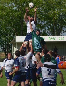 Rugby , Finales Comité