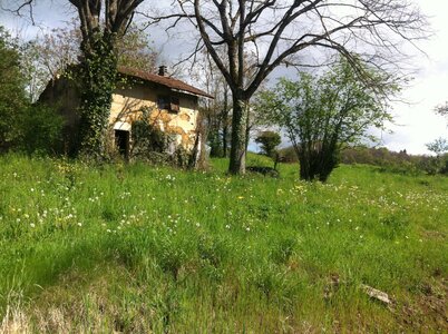Ruine, IMG_0549