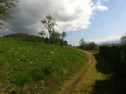 Ruine, IMG_0550