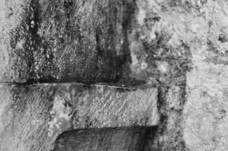 Abbaye de Léocel Photos de détails , Abbaye de Léoncel 2015 06