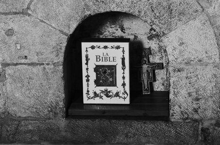 Abbaye de Léocel Photos de détails , Abbaye de Léoncel 2015 12