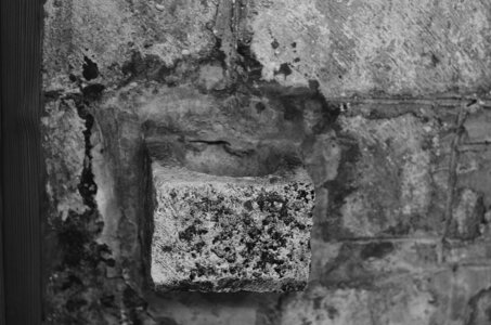 Abbaye de Léocel Photos de détails , Abbaye de Léoncel 2015 20