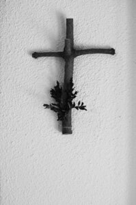 Abbaye de Léocel Photos de détails , Abbaye de Léoncel 2015 32