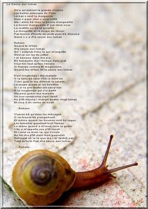 Des choses et d'autres et le reste, K20D1371-1