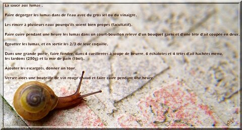 Des choses et d'autres et le reste, K20D1371-2