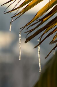 Des choses et d'autres et le reste, K20D5701