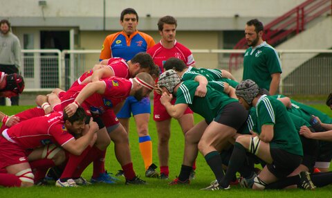 Rugby , SN / SURESNES