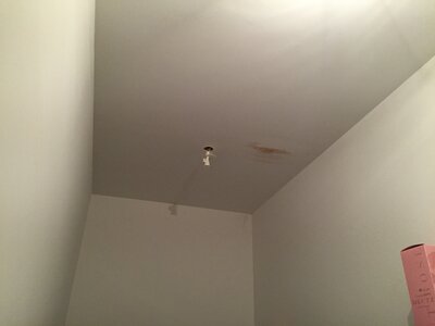 DANG, IMG_4870