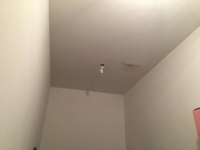 DANG, IMG_4871