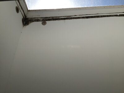 DANG, IMG_4890
