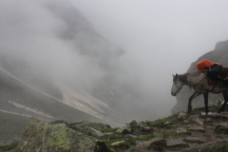 fin trek manali, rajasthaqn 008