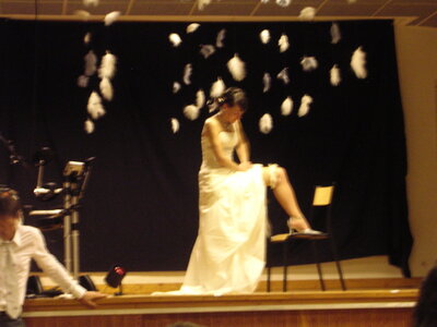 Mariage photos Adeline et Nico, DSCN4396