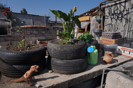 Voyage Partagé MEXIQUE GUATEMALA, San Cristobal de las Casas