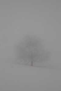 2015-03-13-15-ski-tendre-capanna-mautino, alpes-aventure-ski-rando-tendre-capanna-mautino-2015-03-15-11