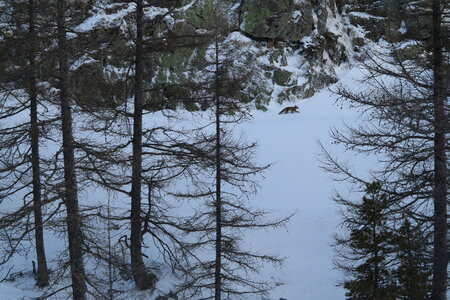 2015-03-21-28-ski-mercantour-neiges-maritimes, alpes-aventure-ski-rando-mercantour-neiges-maritimes-2015-03-26-010