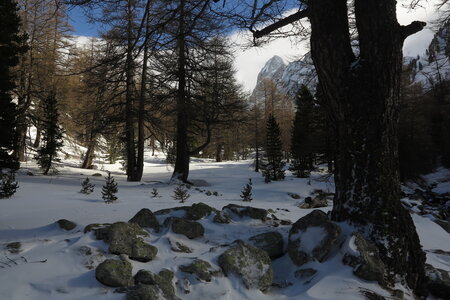 2015-03-21-28-ski-mercantour-neiges-maritimes, alpes-aventure-ski-rando-mercantour-neiges-maritimes-2015-03-26-017