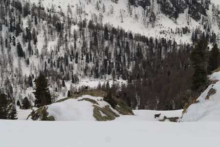 2015-03-21-28-ski-mercantour-neiges-maritimes, alpes-aventure-ski-rando-mercantour-neiges-maritimes-2015-03-26-066