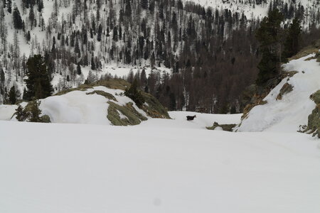 2015-03-21-28-ski-mercantour-neiges-maritimes, alpes-aventure-ski-rando-mercantour-neiges-maritimes-2015-03-26-067
