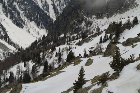 2015-03-21-28-ski-mercantour-neiges-maritimes, alpes-aventure-ski-rando-mercantour-neiges-maritimes-2015-03-26-068