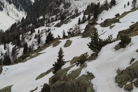 2015-03-21-28-ski-mercantour-neiges-maritimes, alpes-aventure-ski-rando-mercantour-neiges-maritimes-2015-03-26-069