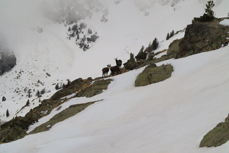 2015-03-21-28-ski-mercantour-neiges-maritimes, alpes-aventure-ski-rando-mercantour-neiges-maritimes-2015-03-26-077