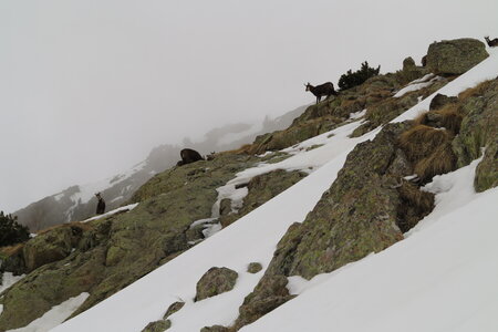2015-03-21-28-ski-mercantour-neiges-maritimes, alpes-aventure-ski-rando-mercantour-neiges-maritimes-2015-03-26-079