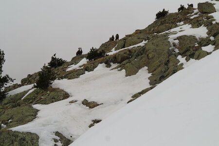 2015-03-21-28-ski-mercantour-neiges-maritimes, alpes-aventure-ski-rando-mercantour-neiges-maritimes-2015-03-26-082
