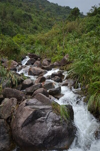 Vietnam, Torent