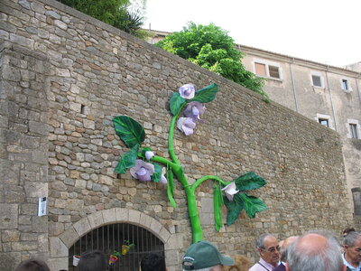GERONE  FÊTE  DES  FLEURS, Gerone 13-05-015 019