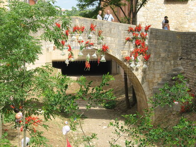 GERONE  FÊTE  DES  FLEURS, Gerone 13-05-015 025