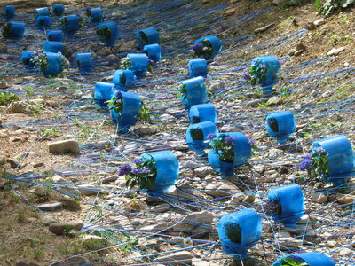 GERONE  FÊTE  DES  FLEURS, Gerone 15-05-015 032