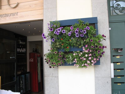 GERONE  FÊTE  DES  FLEURS, Gerone 15-05-015 043