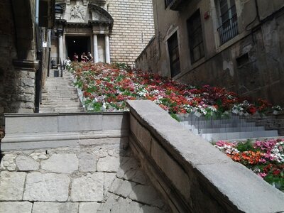 GERONE  FÊTE  DES  FLEURS, Gerone 13-05-015 046