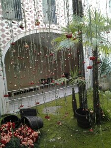 GERONE  FÊTE  DES  FLEURS, Gerone 13-05-015  059