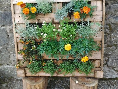 GERONE  FÊTE  DES  FLEURS, Gerone 13-05-015 062