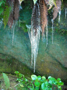 Rob Voy Glacier 3h aller retour, DSCN0686