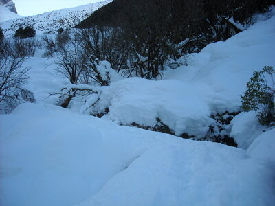Rob Voy Glacier 3h aller retour, DSCN0716