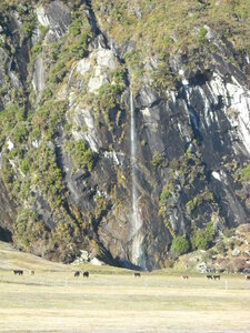 Wanaka-Mount Aspiring Road, DSCN0619