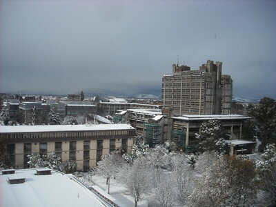 Christchurch sous la neige, DSCN1078