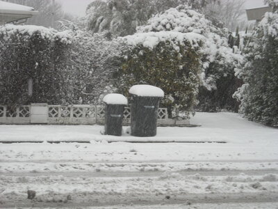 Christchurch sous la neige, DSCN1072