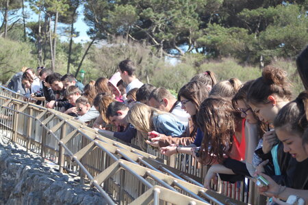 Santander 2015, IMG_0524