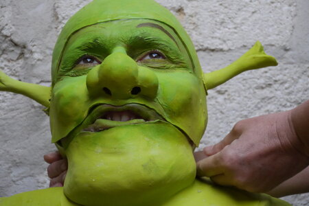 cobaye pour essai d'un masque de shrek, P1040228