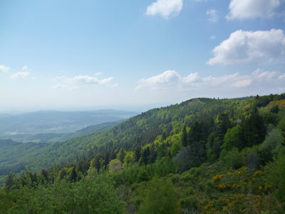 RST'15 mai 2015, P1020882