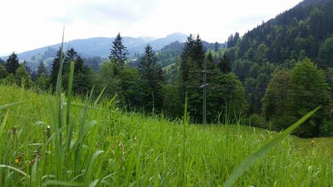 VTT AUTRICHE, 20150523_115952