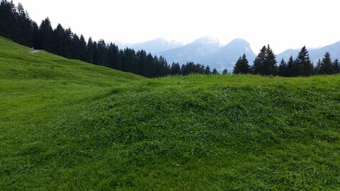 VTT AUTRICHE, 20150523_163935