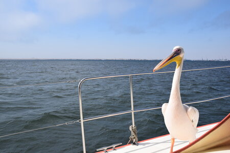 05 Harold voyage, DSC_0485  2 