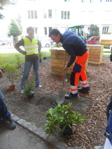 journée citoyenne Mulhouse 2015, DSCN0560