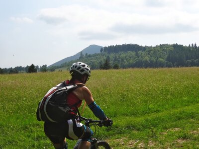 LES CHAMPS DANS LES HAIES, 3